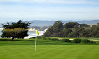 Tee Times
