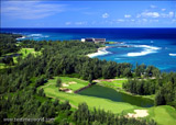 Turtle Bay North Shore Hawaii